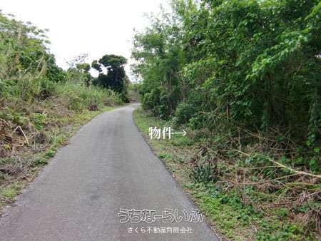 1343 sqm Land for Sale in Sesoko, Motobu, Okinawa - Thumbnail 3
