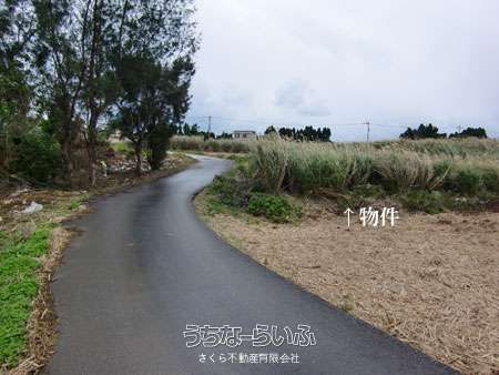 1343 sqm Land for Sale in Sesoko, Motobu, Okinawa - Thumbnail 4