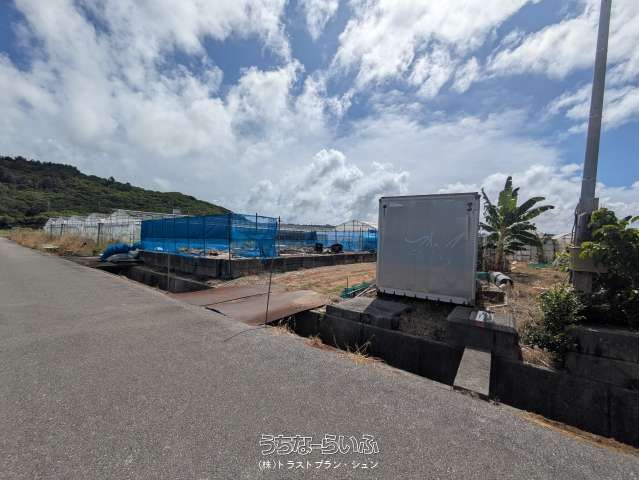 1859sqm Mango Farm Land for Sale in Nanjo City, Okinawa - Thumbnail 2