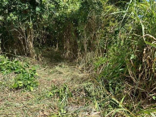811 m² Land Plot for Sale in Igei, Kin Town, Okinawa - Thumbnail 3
