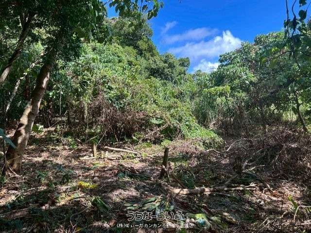 811 m² Land Plot for Sale in Igei, Kin Town, Okinawa - Thumbnail 4