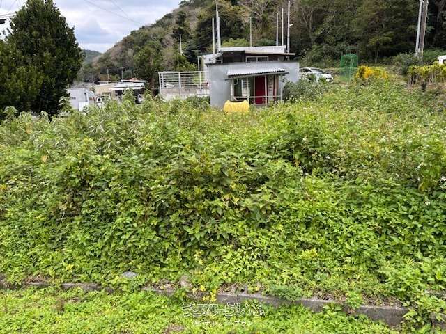 221 sqm Land for Sale in Ogimi Village, Okinawa - Near the Sea - Thumbnail 3