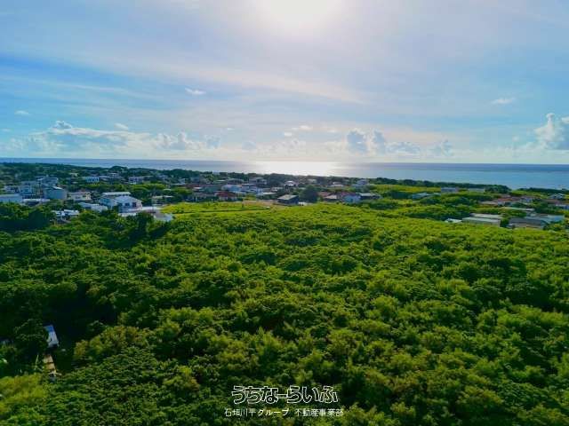 5,559 sqm Land for Sale in Shiraho, Ishigaki, Okinawa - Thumbnail 4