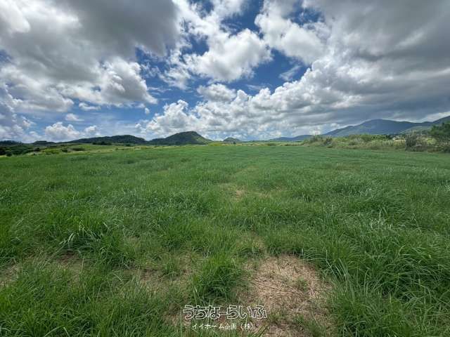 Farmland for Sale in Shiraho, Ishigaki - 6957 sqm Plot - Thumbnail 2