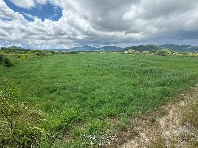 Farmland for Sale in Shiraho, Ishigaki - 6957 sqm Plot - Thumbnail 4