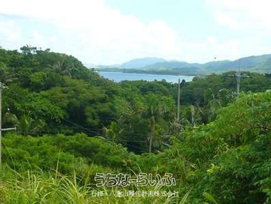 Land for Sale in Fukai, Ishigaki - Near Blue Cave with Sea Views - Thumbnail 2