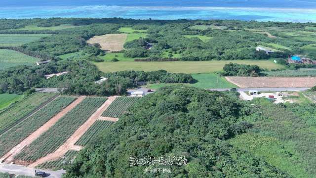 Agricultural Land for Sale in Kabira, Ishigaki, Okinawa - Thumbnail 3