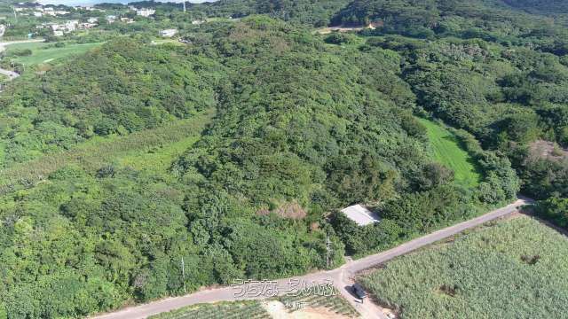 Agricultural Land for Sale in Kabira, Ishigaki, Okinawa - Thumbnail 4