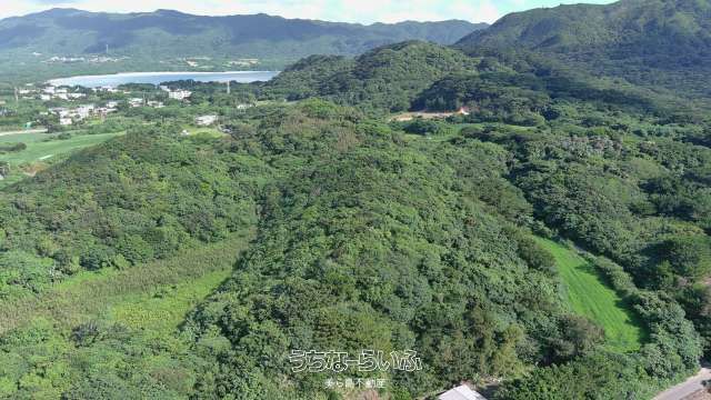 Agricultural Land for Sale in Kabira, Ishigaki, Okinawa - Thumbnail 2