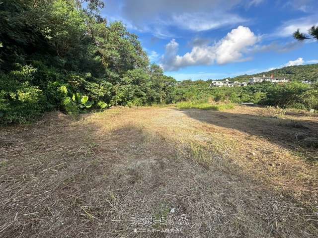 1954 sqm Land for Sale in Nakagusuku Village, Okinawa - Thumbnail 4