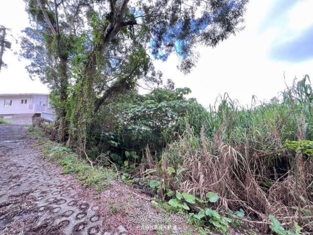 Land for Sale in Tamebata, Nago City, Okinawa - 1447.93 sqm - Thumbnail 2