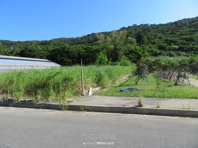 464m² Agricultural Land for Sale in Sashiki, Nanjo City, Okinawa - Thumbnail 2
