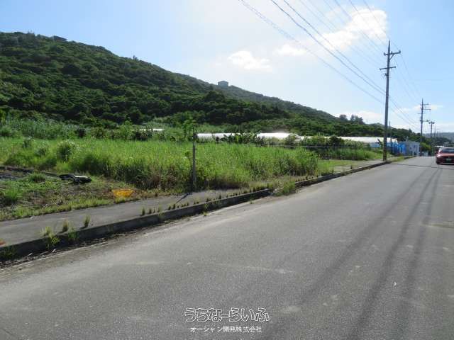 464m² Agricultural Land for Sale in Sashiki, Nanjo City, Okinawa - Thumbnail 4