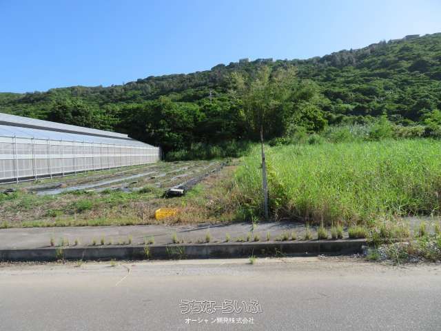 464m² Agricultural Land for Sale in Sashiki, Nanjo City, Okinawa - Thumbnail 3