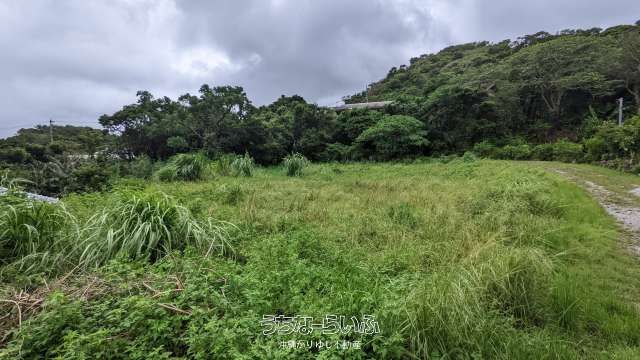 1082.69 sqm Land for Sale in Motobu, Okinawa Near Golf Club - Thumbnail 2