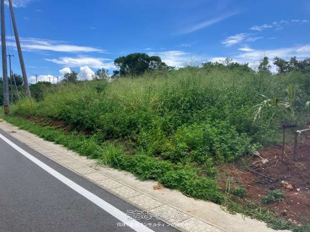 414 sqm Land for Sale in Sesoko, Motobu Town, Okinawa - Thumbnail 4