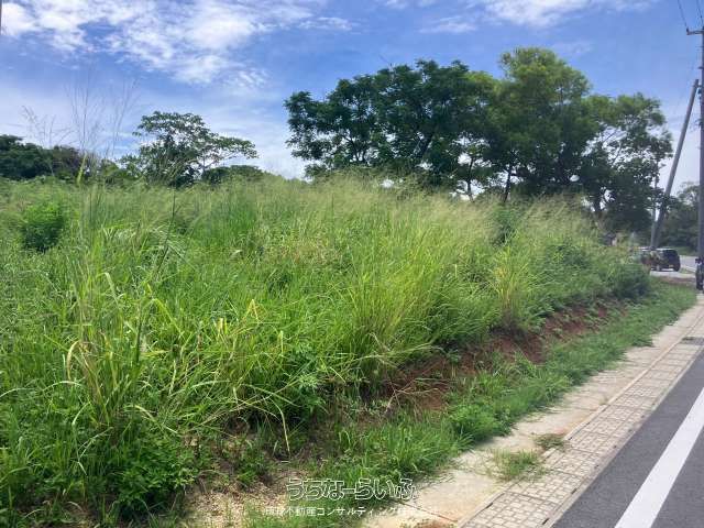 414 sqm Land for Sale in Sesoko, Motobu Town, Okinawa - Thumbnail 3