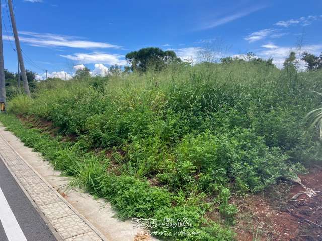 414 sqm Land for Sale in Sesoko, Motobu Town, Okinawa - Thumbnail 2