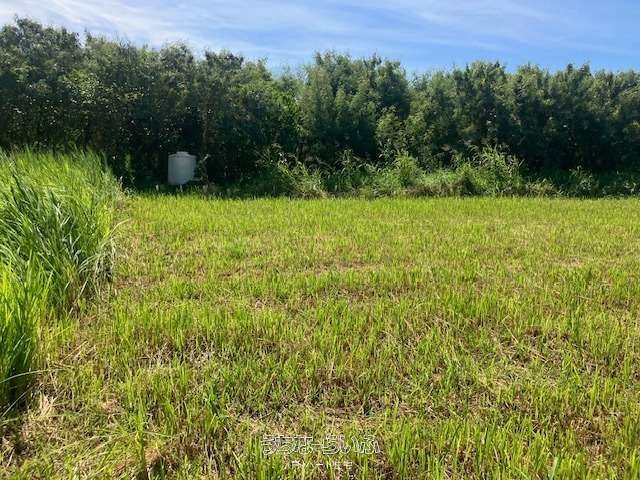 2382m² Land for Sale in Uruma City, Okinawa - Near Ocean Road - Thumbnail 3