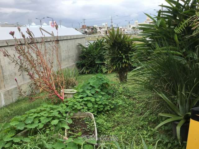 78 sqm Cemetery/Warehouse Land for Sale in Ginowan, Okinawa - Thumbnail 4