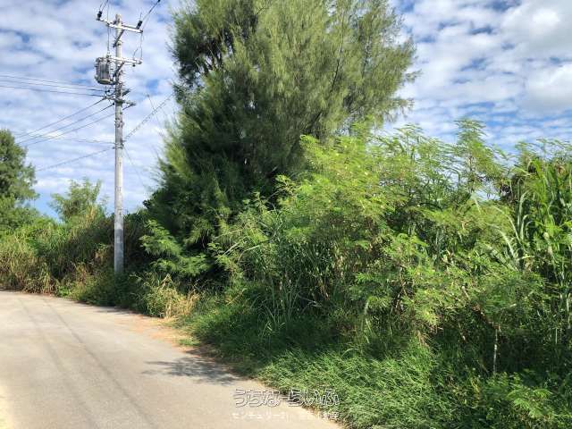 1916 sqm Land for Sale Near Sunayama Beach, Miyakojima - Thumbnail 2