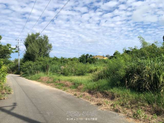 1916 sqm Land for Sale Near Sunayama Beach, Miyakojima - Thumbnail 3