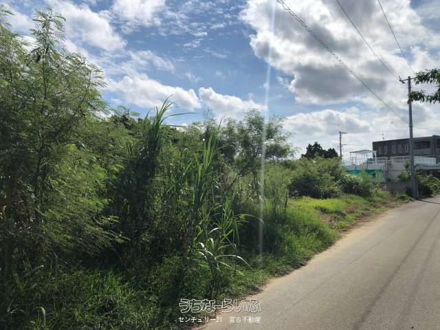 1916 sqm Land for Sale Near Sunayama Beach, Miyakojima - Thumbnail 4