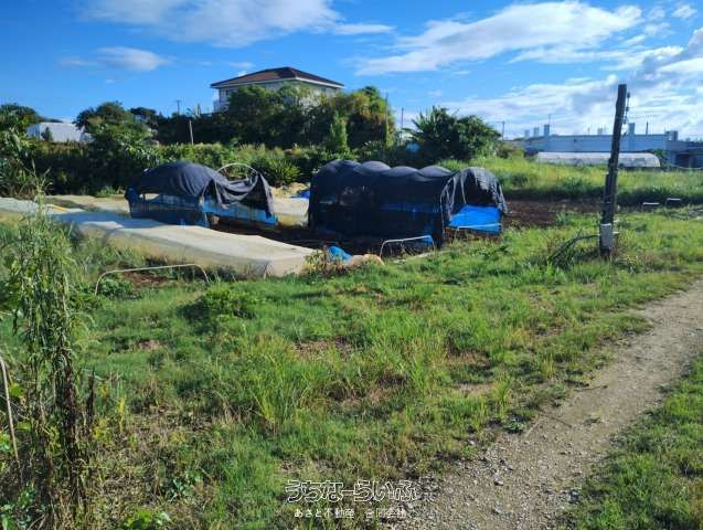 1179 sqm Development Land for Sale in Itoman, Okinawa - Thumbnail 2