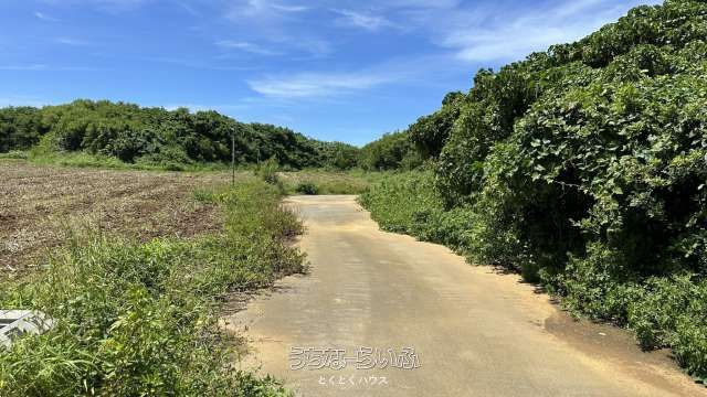 Agricultural Land for Sale in Miyakojima, Okinawa - 9586 sqm - Thumbnail 3