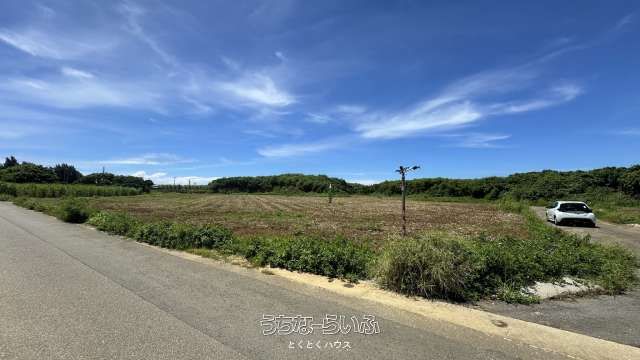 Agricultural Land for Sale in Miyakojima, Okinawa - 9586 sqm - Thumbnail 4