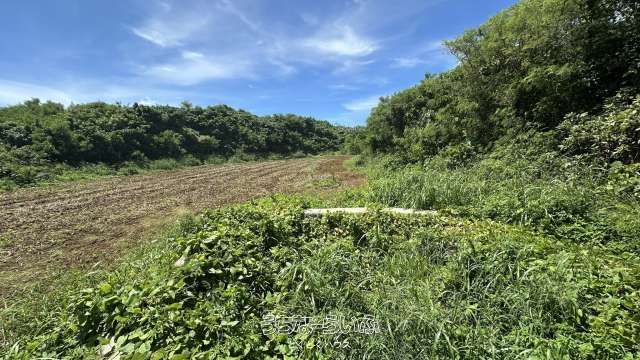 Agricultural Land for Sale in Miyakojima, Okinawa - 9586 sqm - Thumbnail 2