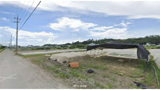 Farmland for Sale in Toguchi, Tomigusuku, Okinawa - 876.03 sqm - Thumbnail 2