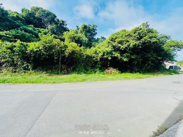 1039.89 sqm Land Plot for Sale in Miyagi, Uruma, Okinawa - Thumbnail 2
