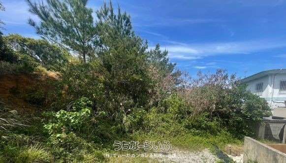 352.78m² Land for Sale in Miyazato, Nago City, Okinawa - Thumbnail 2