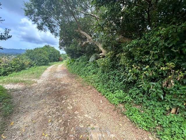 2119 sqm Land for Sale in Nakijin Village, Okinawa - Thumbnail 3