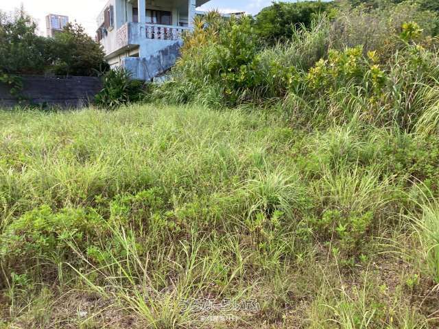 Land for Sale in Nago City Genka, Okinawa - 796.46 sqm - Thumbnail 3