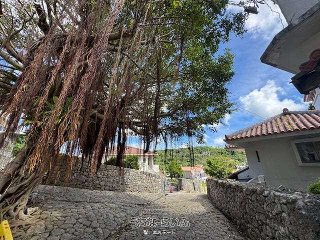 188.72 sqm Land for Sale in Historic Shuri, Naha, Okinawa - Thumbnail 4