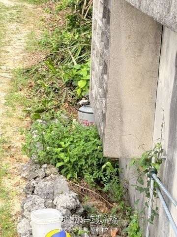 4DK Detached House for Sale in Miyakojima, Okinawa - Thumbnail 3
