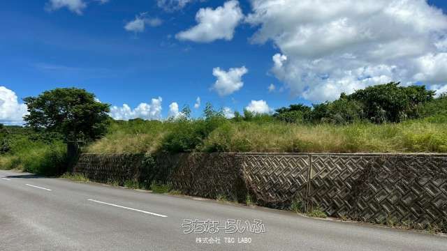 871.08 sqm Land for Sale in Nakijin Village, Okinawa - Thumbnail 3