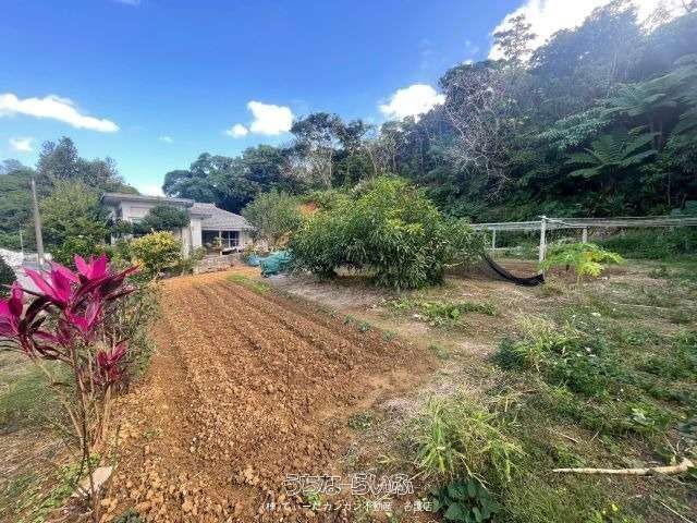 1231 sqm Land for Sale in Motobu Town, Okinawa - Near Churaumi Aquarium - Thumbnail 3