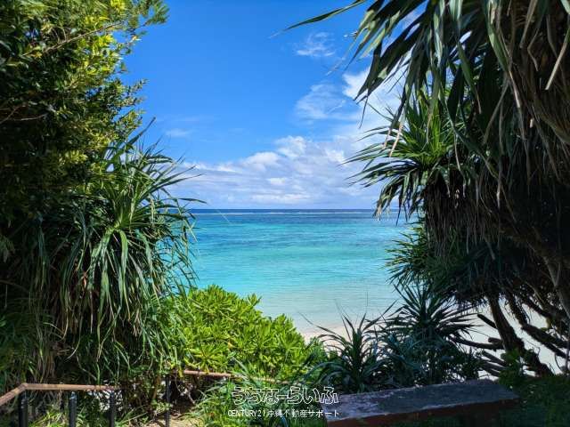 Secluded Land in Nakijin Village, Okinawa - 753 sqm Plot - Thumbnail 3