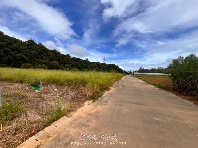 695 sqm Farmland for Sale in Ginowan Village, Okinawa - Thumbnail 3