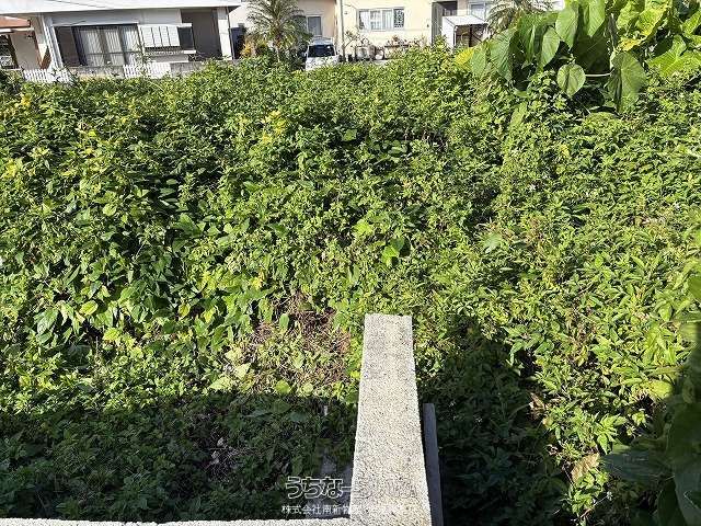 483m² Land for Sale in Yaeze Town, Okinawa - Thumbnail 3