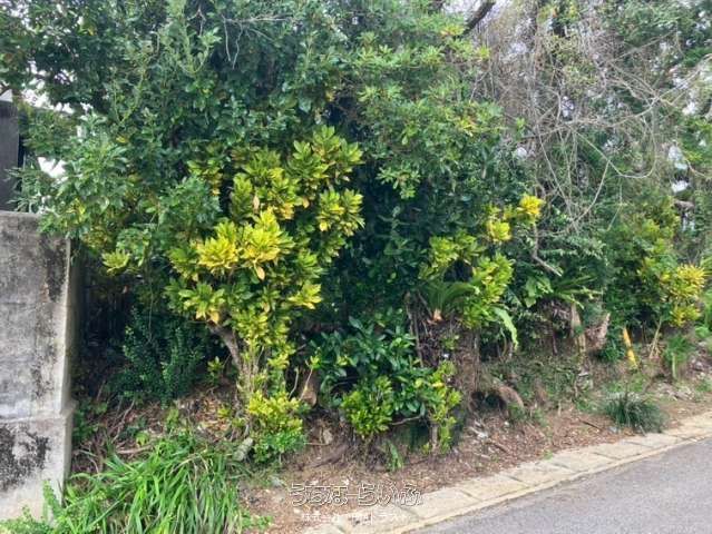 84m² Land Plot for Sale in Yohanami, Nago City, Okinawa - Thumbnail 3