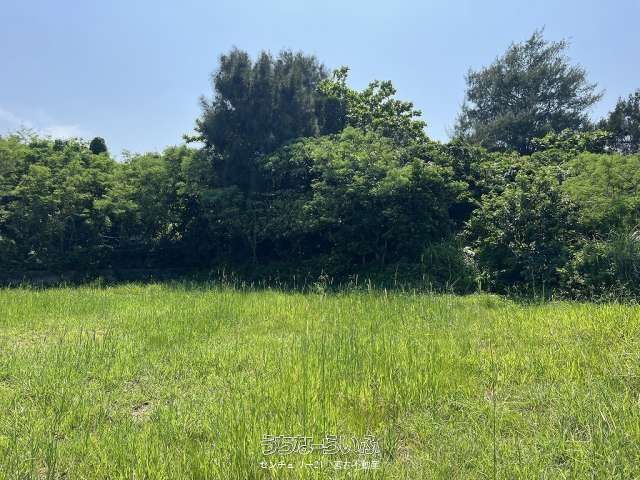 5,326 sqm Land for Sale in Miyakojima City, Okinawa - Thumbnail 3