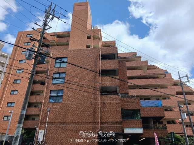 Green Heights Naha 11F: Renovated 3LDK Apartment in Naha - Thumbnail 3