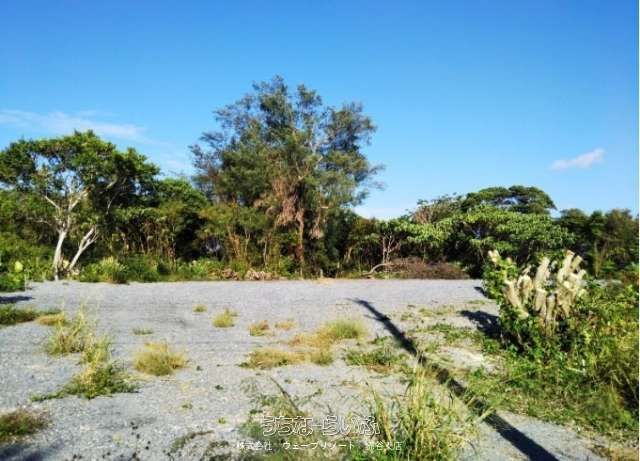 1127 sqm Land for Sale in Motobu, Okinawa - Near Churaumi Aquarium - Thumbnail 4