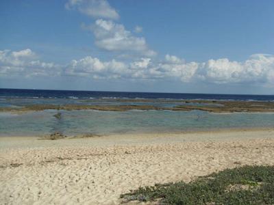 Nakijin Village Sakiyama / 1742m² / 526.96 tsubo / Land for sale for 37.5 million yen | Okinawa real estate information [Uchinaa Life] (t-7322-6230711-0457) — Image 3, Nakijin, Okinawa