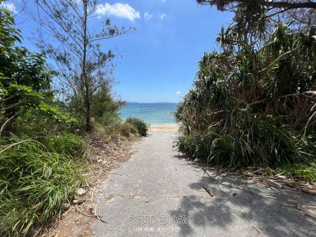 Ocean View Land for Sale in Kin, Okinawa - 2456 sqm - Thumbnail 2