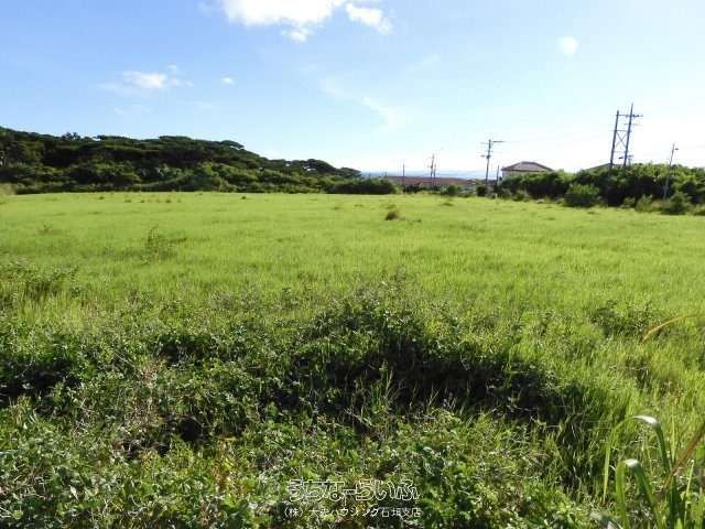 1,500m² Ocean View Land for Sale in Ishigaki's Shinagawa - Thumbnail 2